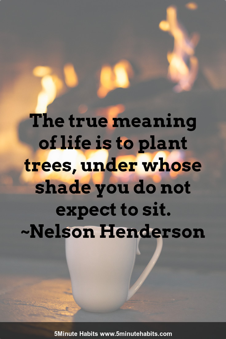 The true meaning of life is to plant trees, under whose shade you do not expect to sit. ~Nelson Henderson